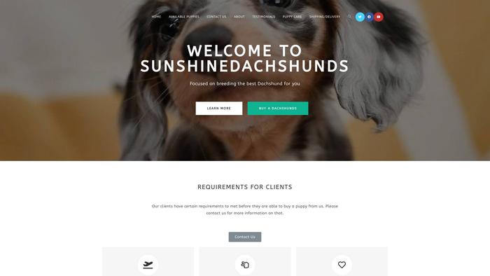 Sunshinedachshunds.com - Dachshund Puppy Scam Review