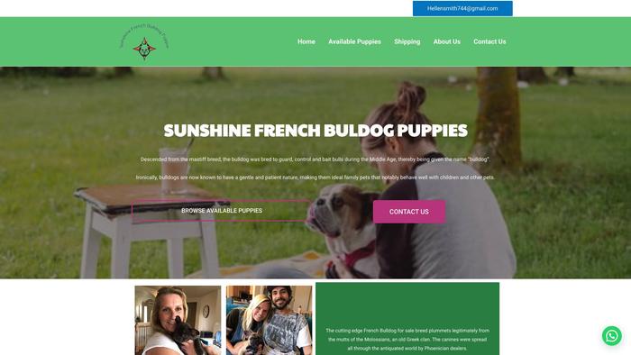 Sunshinefrenchbulldogpuppies.com - French Bulldog Puppy Scam Review