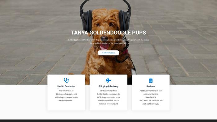 Tanyagoldendoodlepups.com - Golden Retriever Puppy Scam Review