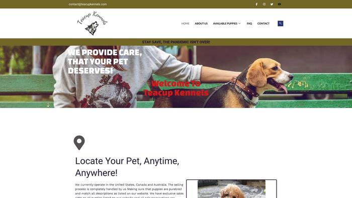 Teacupkennels.com - Yorkshire Terrier Puppy Scam Review