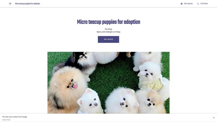 Teacuppomeranianpuppiesforadoption.com - Pomeranian Puppy Scam Review