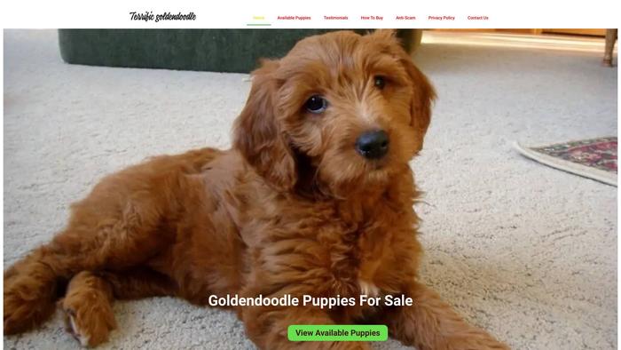 Terrificgoldendoodle.com - Golden Doodle Puppy Scam Review