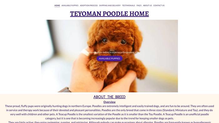 Teyomanpoodles.com - Poodle Puppy Scam Review