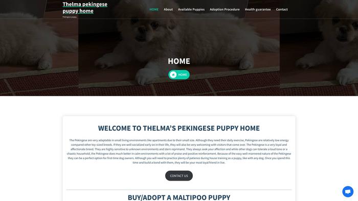 Thelmapekingesepuppyhome.com - Pekingese Puppy Scam Review