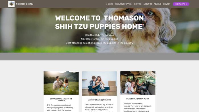 Thomasonshihpuppieshome.com - Shihtzu Puppy Scam Review