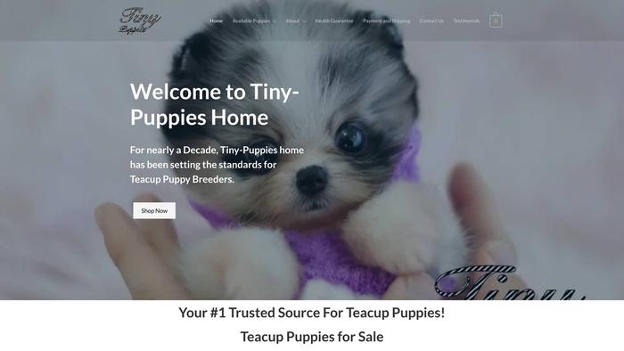 Tiny-puppys.com - Pomeranian Puppy Scam Review