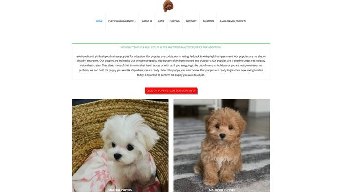 Tinyjewellpups.com - Maltese Puppy Scam Review