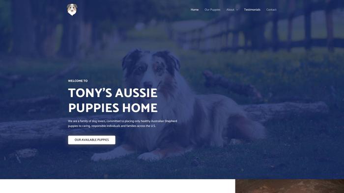 Tonysaussiepuppieshome.com - Australian Shepherd Puppy Scam Review