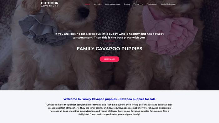 Toycavapoopuppiesfursale.com - Cavapoo Puppy Scam Review