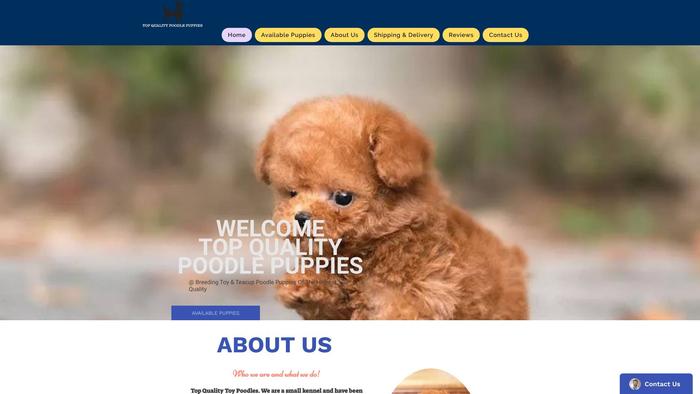 Toypoodlepuppies4sale.com - Poodle Puppy Scam Review