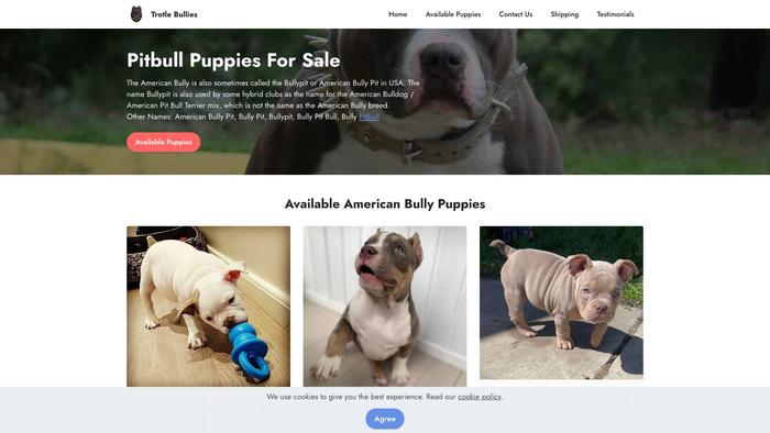 Trotlebullies.com - Pit Bull Puppy Scam Review