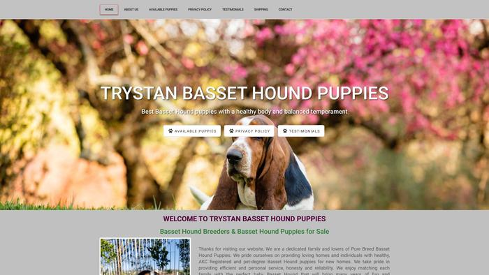 Trystanbassethoundpuppies.com - Bassethound Puppy Scam Review