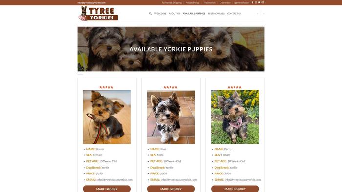 Tyreeteacupyorkie.com - Yorkshire Terrier Puppy Scam Review