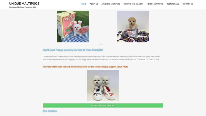 Uniquemaltipoos.com - Maltipoo Puppy Scam Review