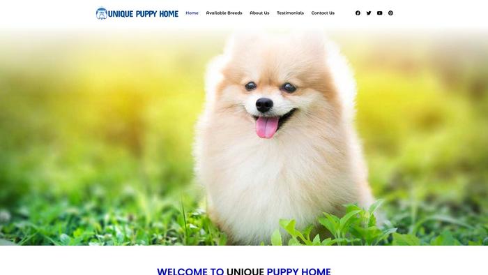 Uniquepuppyhome.com - Pomeranian Puppy Scam Review