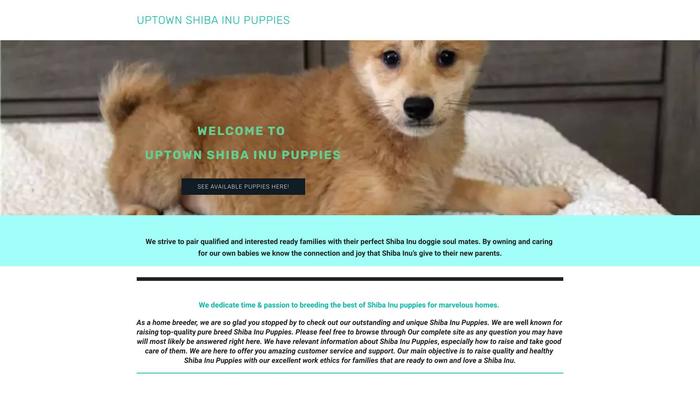 Uptownsshibainupups.net - Shibhainu Puppy Scam Review