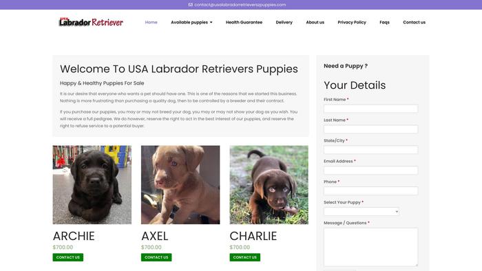 Usalabradorretrieverszpuppies.com - Golden Retriever Puppy Scam Review