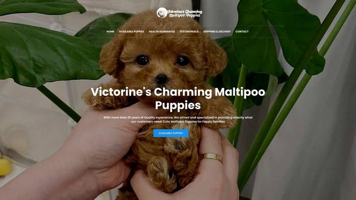 Victorinescharmingmaltipoo.com - Maltipoo Puppy Scam Review