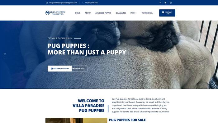 Villaparadisepugpuppies.com - Pug Puppy Scam Review