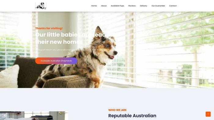 Vipaussie.com - Australian Shepherd Puppy Scam Review