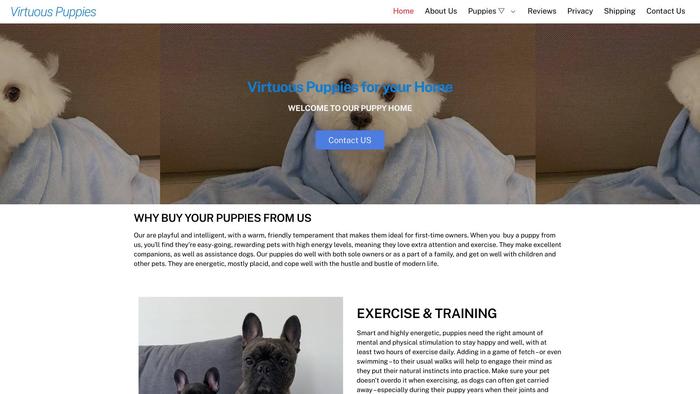 Virtuouspuppies.com - Maltese Puppy Scam Review