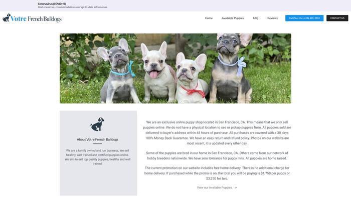 Votrefrenchbulldog.com - French Bulldog Puppy Scam Review