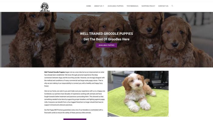 Welltrainedgroodlepuppies.com - Golden Doodle Puppy Scam Review