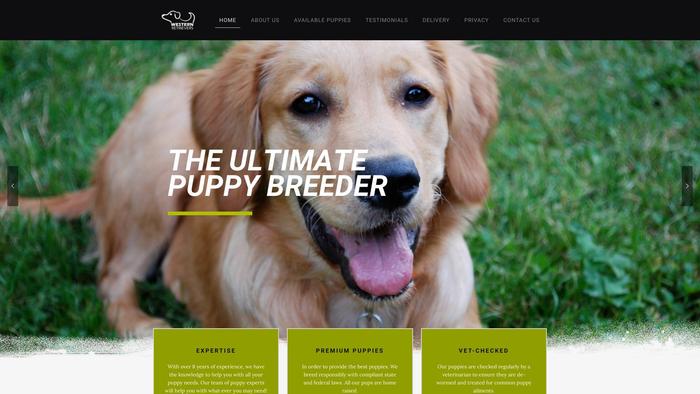 Westernretrievers.com - Golden Retriever Puppy Scam Review