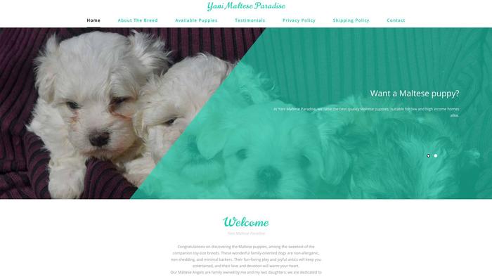 Yanimalteseparadise.com - Maltese Puppy Scam Review