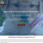 1goldenretrieverpuppyspot.com - Golden Retriever Puppy Scam Review