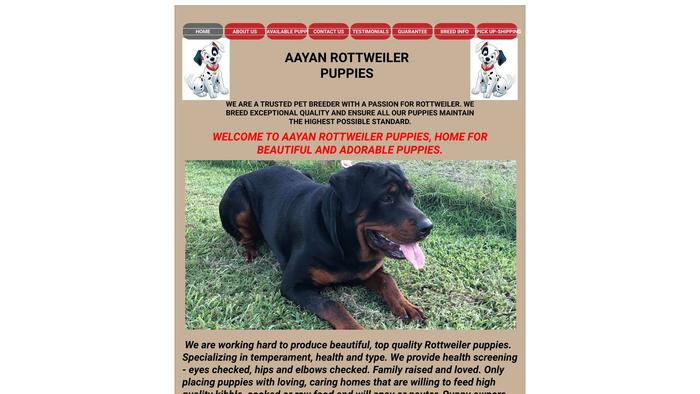 Aayangermanrottweilerpuppies.com - Germanshepherd Puppy Scam Review