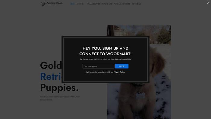 Admirablegoldenretrieverpuppies.com - Golden Retriever Puppy Scam Review