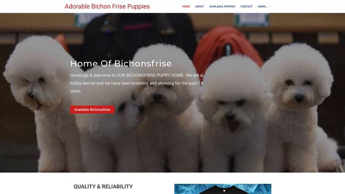 Adorablebichonfrisepuppies.com - Bichon Frise Puppy Scam Review