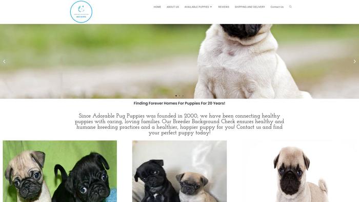 Adorablepugpuppies.com - Pug Puppy Scam Review