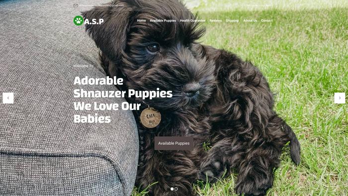 Adorableshnauzerpuppies.com - Schnauzer Puppy Scam Review