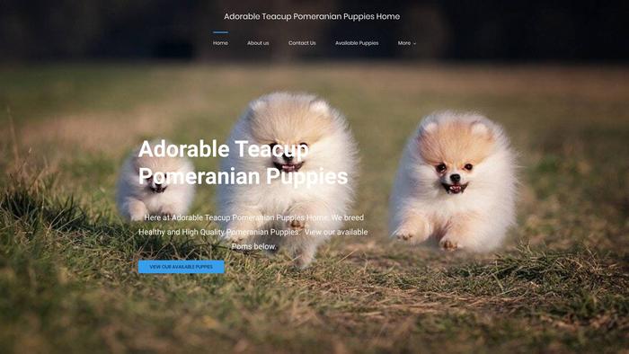 Adorableteacuppomeranianpuppies.com - Pomeranian Puppy Scam Review