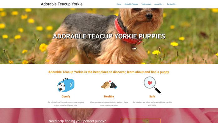 Adorableteacupyorkiepuppies.com - Yorkshire Terrier Puppy Scam Review