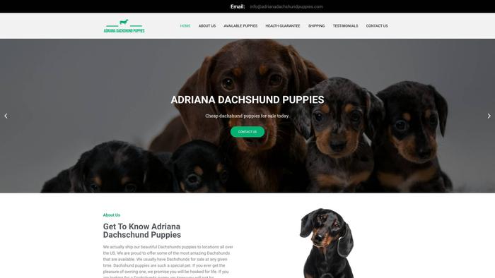 Adrianadachshundpuppies.com - Dachshund Puppy Scam Review