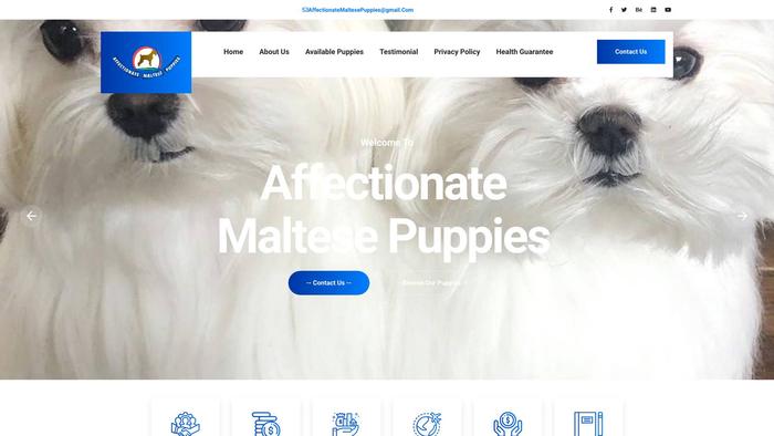 Affectionatemaltesepuppies.com - Maltese Puppy Scam Review