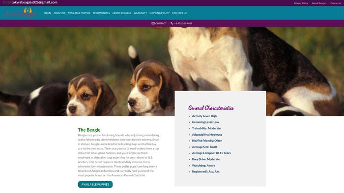 Akwabeagles.com - Beagle Puppy Scam Review