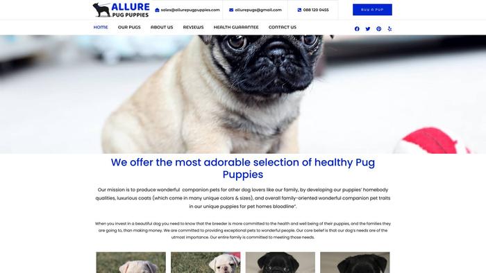 Allurepugpuppies.com - Pug Puppy Scam Review