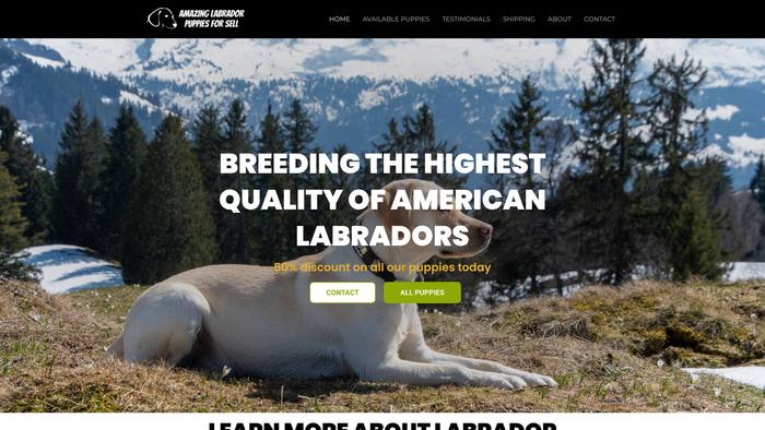 Amazinglabradorpuppiesforsell.com - Labrador Puppy Scam Review