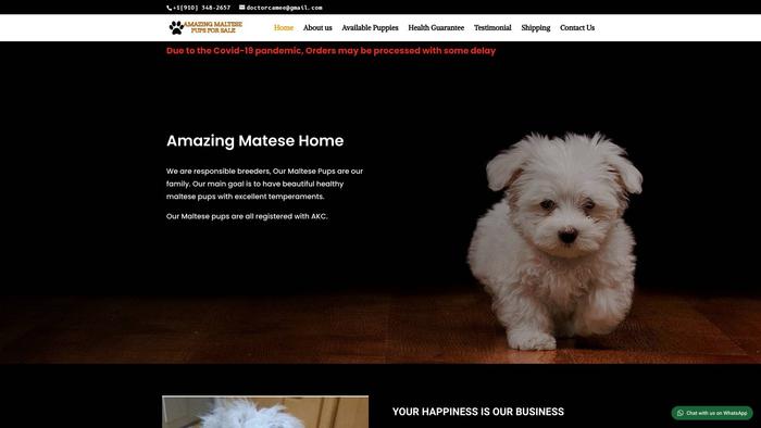 Amazingmaltesepupsforsale.com - Maltese Puppy Scam Review