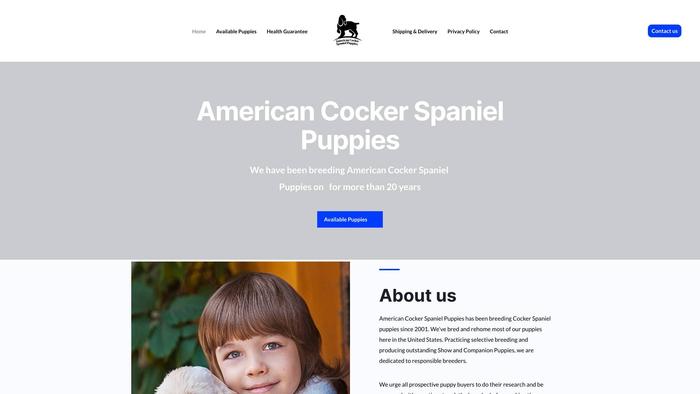 Americancockerspanielpuppies.com - Cockerspaniel Puppy Scam Review