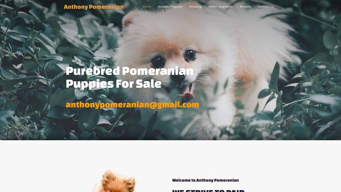 Anthonypomeranian.com - Pomeranian Puppy Scam Review