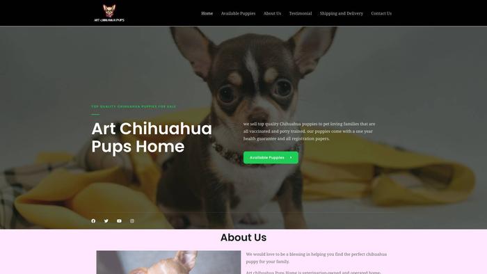 Artchihuahuapups.com - Chihuahua Puppy Scam Review