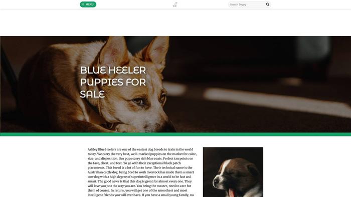 Ashleyblueheelerhome.com - Australian Shepherd Puppy Scam Review