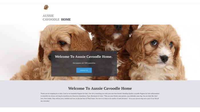 Aussiecavoodlehome.com - Australian Shepherd Puppy Scam Review