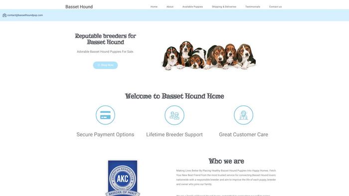 Bassethoundpup.com - Bassethound Puppy Scam Review