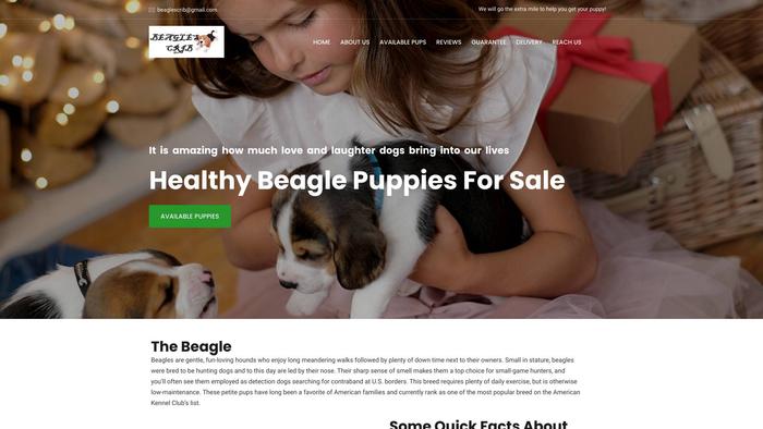 Beaglescrib.com - Beagle Puppy Scam Review